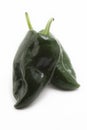 Poblano Peppers Royalty Free Stock Photo