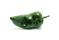 Poblano peppers Royalty Free Stock Photo