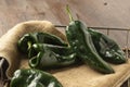 Poblano Peppers