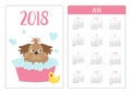 Pocket calendar 2018 year. Week starts Sunday. Little glamour tan Shih Tzu dog taking a bubble bath. Yellow duck bird toy. Cute ca