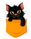 Pocket Cat. Cute print with kitty for t-shir Royalty Free Stock Photo