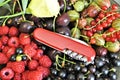 Pocket folding knife and fresh organic ripe fruits currant raspberry natural gourmet product