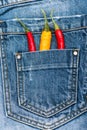 Pocket of jeans staffed with red and yellow chilly peppers, denim background. Peppers in back pocket of blue jeans. Hot