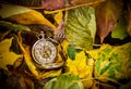 Pocket watch on a background off fur and autumn leaves Royalty Free Stock Photo