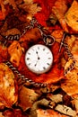 Pocket watch on leaves Royalty Free Stock Photo