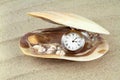 Pocket watch in a sea shell with real pearls