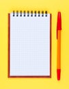 Pocketbook and ballpoint pen. Royalty Free Stock Photo