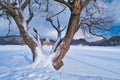 Pocuvadlo lake durig winter