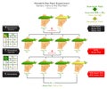 Pod Color Genetic Trait Pea Plant Mendel Experiment Infographic Diagram