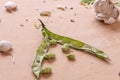 Fava beans on a wooden kitchen table Royalty Free Stock Photo