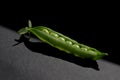 Pod of green peas. Pea grains in an open pod Royalty Free Stock Photo