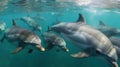 A group of dolphins playing and swimming together in the ocean created with Generative AI Royalty Free Stock Photo