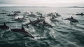 A group of dolphins playing and swimming together in the ocean created with Generative AI Royalty Free Stock Photo