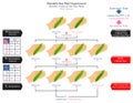 Pod Shape Genetic Trait Pea Plant Mendel Experiment Infographic Diagram