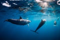 Pod of Spinner dolphins underwater in blue sea with sun light