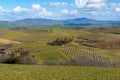 Podere Belvedere villa, Tuscany, Italy Royalty Free Stock Photo