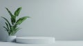 Podium minimal blank background with green plants for product display presentation