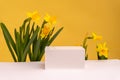 Podium for product photo background with jonquil. geometric objects and flowers.