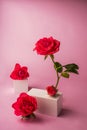 Podium for product photo background with roses. geometric objects and flowers.