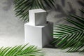 Podium, stage pedestal or platform. Abstract minimalistic scene with geometric forms