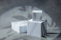 Podium, stage pedestal or platform. Abstract minimalistic scene with geometric forms