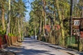 Podkowa Lesna, Mazovia / Poland - 2020/04/12: Despite sunny Easter afternoon streets of luxury villa-type residential suburban off