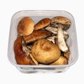 Podosinoviki and podberezoviki mushrooms.Fresh aspen mushrooms