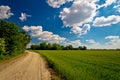 Podravina region field and road Royalty Free Stock Photo