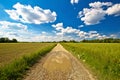 Podravina region green landscape and country road view Royalty Free Stock Photo