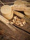 Pods of barley Royalty Free Stock Photo