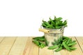 Pods of green peas in a bucket. Isolated. Royalty Free Stock Photo