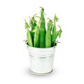 Pods of green peas in a bucket isolated on white. herbaceous plants of the legume family Royalty Free Stock Photo