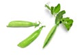 Pods of green peas with leaves on a white isolated background Royalty Free Stock Photo