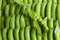 Pods of green peas. Natural background Royalty Free Stock Photo