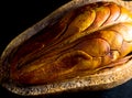 Pods and seeds of Mahogany on black background