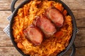 Podvarak Traditional Dish from Balkan Sauerkraut with smoked pork and bacon closeup in the pan. horizontal top view Royalty Free Stock Photo