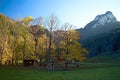 Podziar - crossroad, near the clearing, in the valley of the Dier creek between the Lower and the Upper Holes at the former pastor Royalty Free Stock Photo