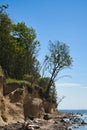 Poel on the steep coast to the Baltic Sea. Break-off edge with tree on the slope Royalty Free Stock Photo