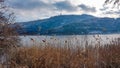 Poertschach - Reed on the lake Worth in Carinthia with view on Pyramidenkogel Royalty Free Stock Photo