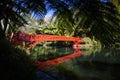 Poet\'s bridge in New Plymouth