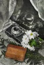 Poetic and vintage image of daisies, analog camera,