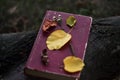 Poetry book with fallen leaves and flower on it Royalty Free Stock Photo