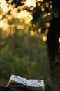 Poetry book under tree Royalty Free Stock Photo