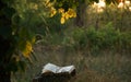 Poetry book under tree Royalty Free Stock Photo