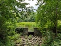 Poetry Reading Spot Royalty Free Stock Photo