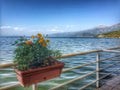 Pogradec Albania Royalty Free Stock Photo