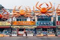 Snow crab, seafood restaurant at Guryongpo port in Pohang, Korea