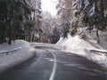Pohorje Slovenia Areh abandoned winter road