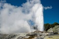 Pohutu Geyser Royalty Free Stock Photo