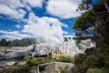 Pohutu Geyser, New Zealand Royalty Free Stock Photo